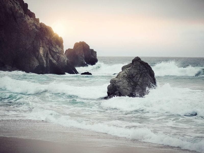 EU 타투 잉크 규제, 국내 수출 업체에 영향